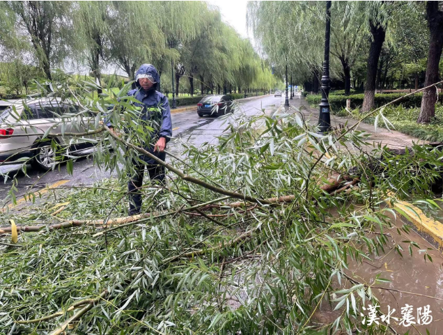 1693294785175952.png 1.png